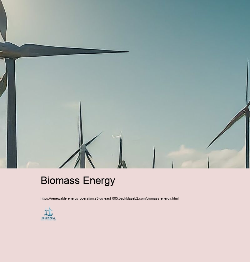 Biomass Energy