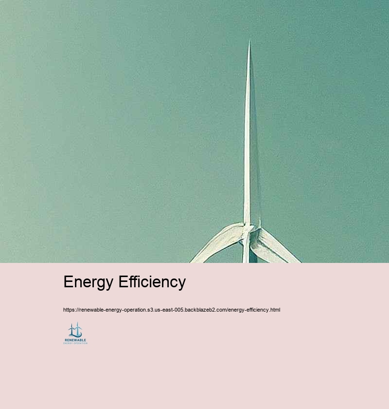 Problems and Solutions in Renewable resource Procedure