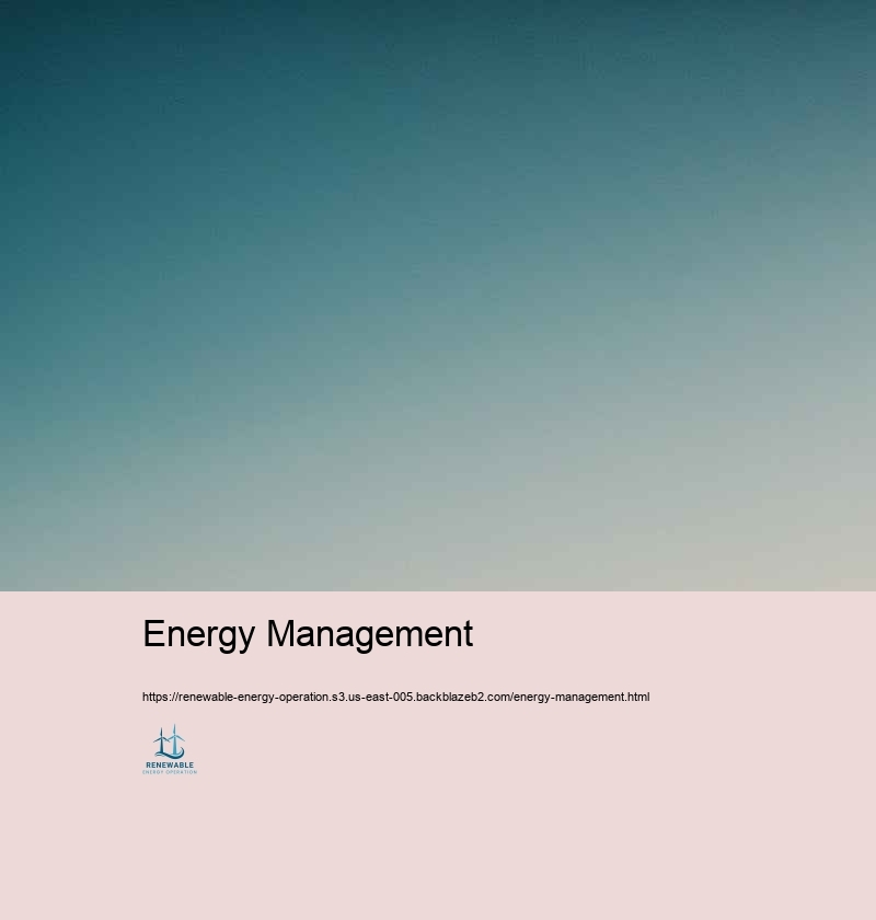 Governing Conformity and Ideal Practices in Renewable Resource Procedure