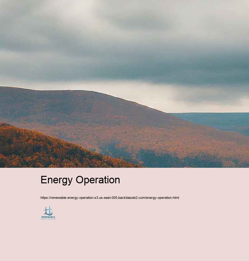 Difficulties and Solutions in Renewable energy Operation