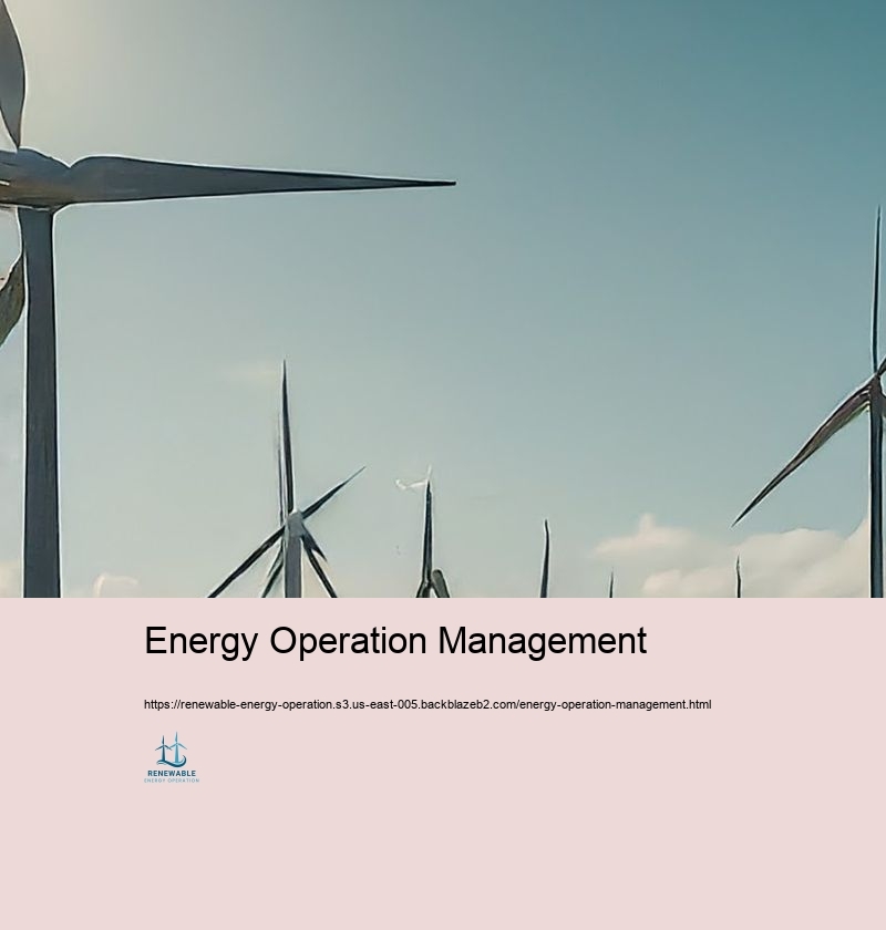 Energy Operation Management