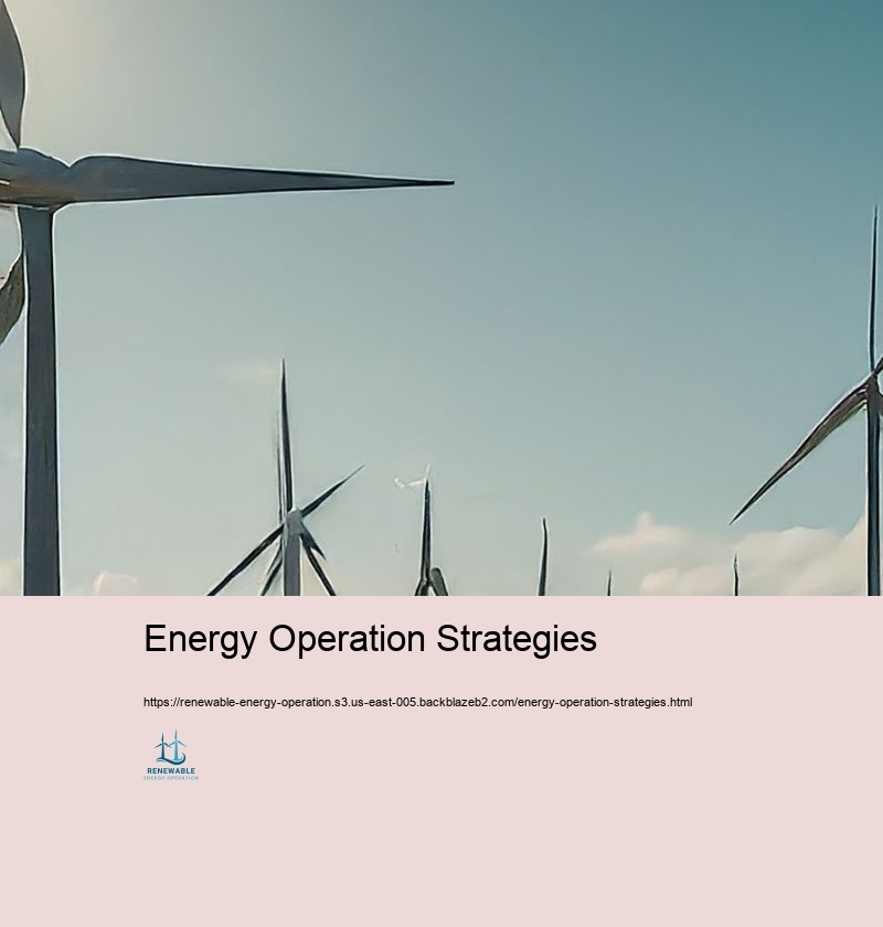 Energy Operation Strategies