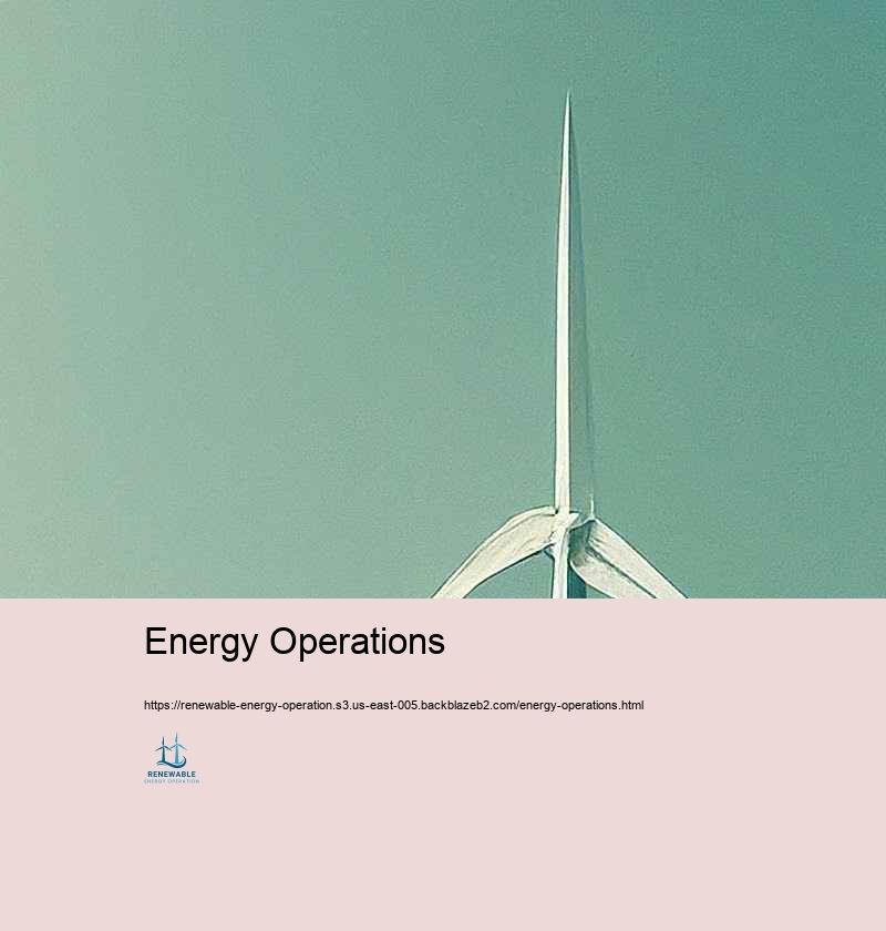 Obstacles and Solutions in Renewable Resource Operation