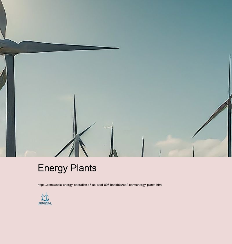 Energy Plants