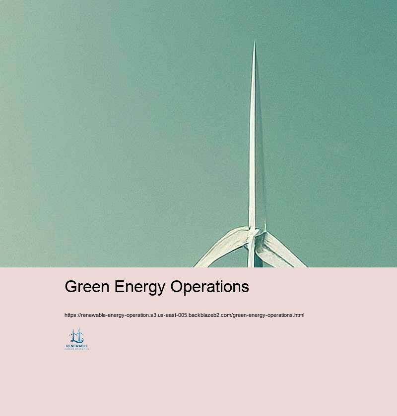 Issues and Solutions in Renewable energy Operation