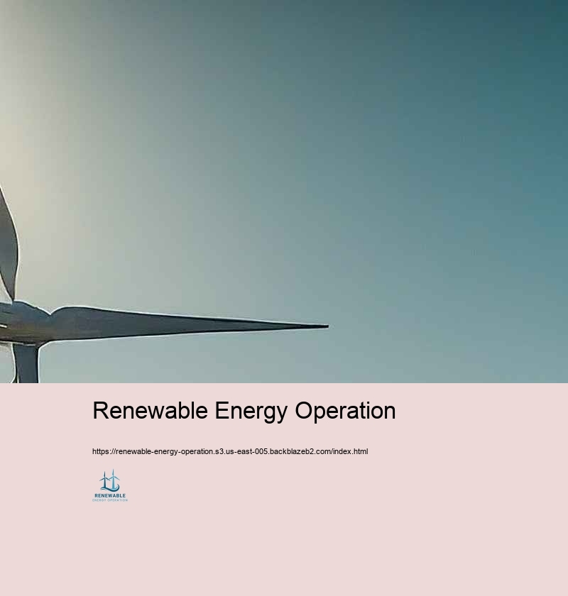 Troubles and Solutions in Renewable Resource Operation