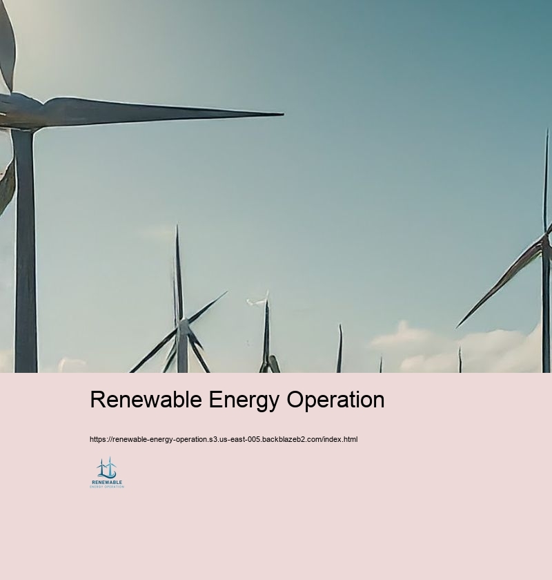 Renewable Energy Operation