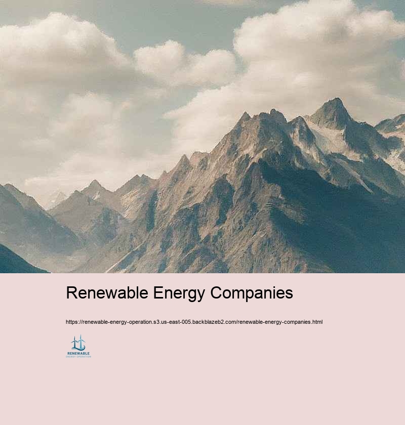 Regulative Conformity and Finest Practices in Renewable energy Treatment