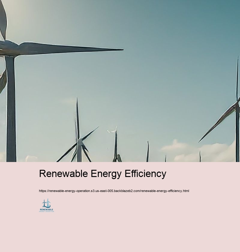 Renewable Energy Efficiency