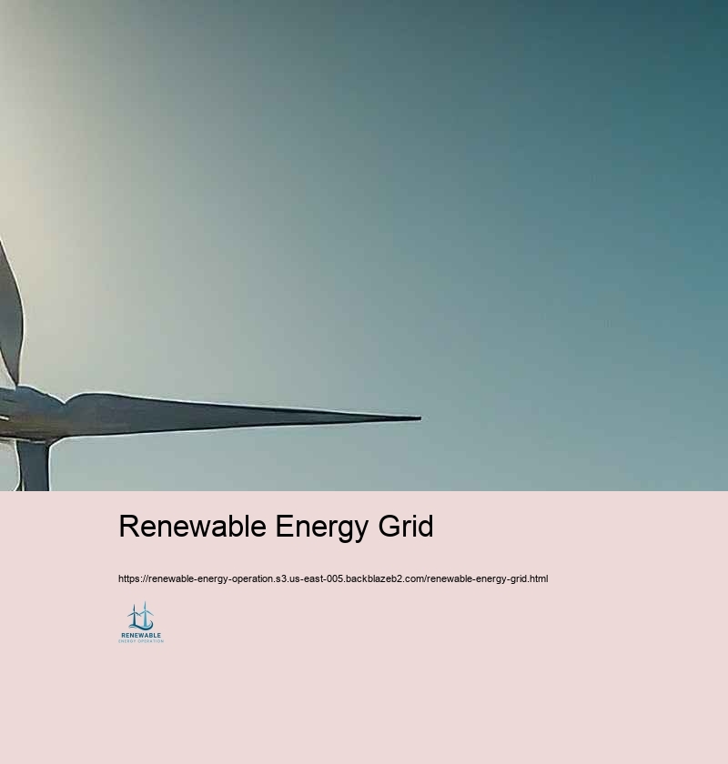 Troubles and Solutions in Renewable Resource Procedure