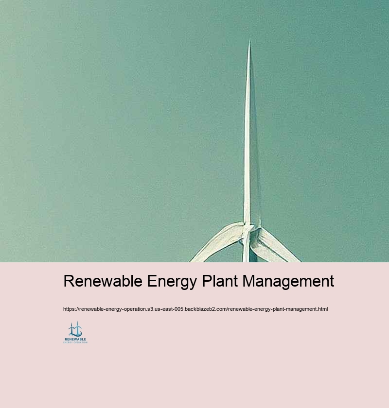 Issues and Solutions in Renewable resource Treatment