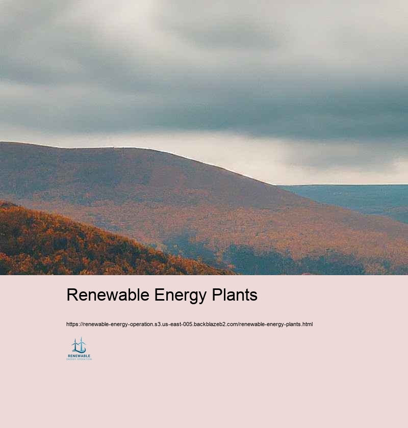 Problems and Solutions in Renewable resource Treatment