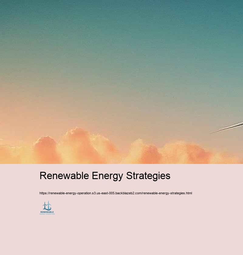 Regulative Consistency and Suitable Practices in Renewable resource Procedure