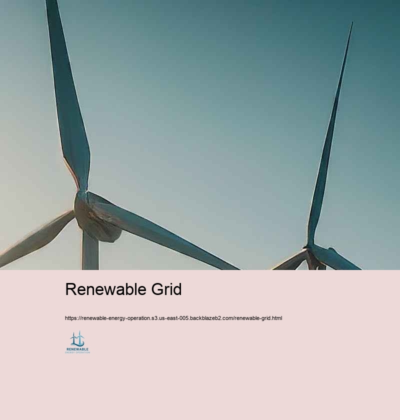 Perfect Practices in Handling Renewable energy Procedures