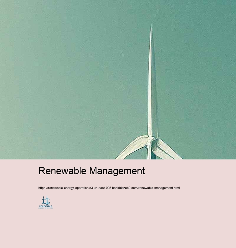 Barriers and Solutions in Renewable resource Procedure