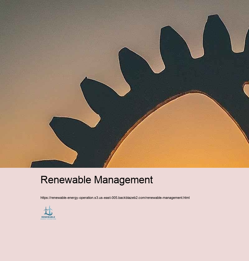 Regulative Uniformity and Ideal Practices in Renewable Energy Treatment