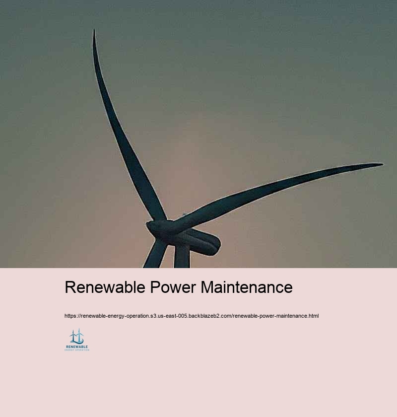 Regulative Conformity and Perfect Practices in Renewable resource Treatment