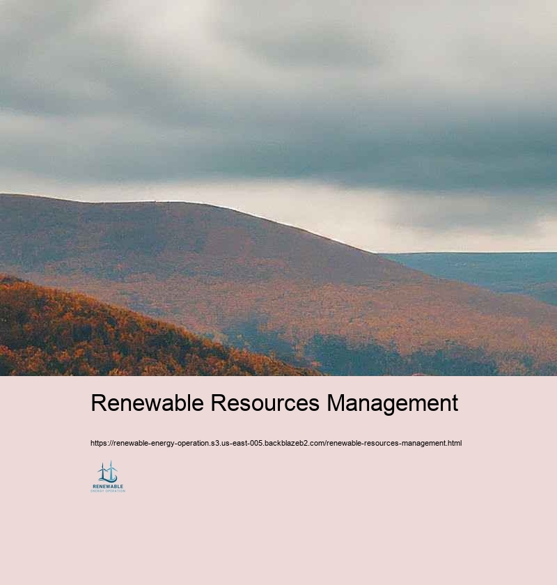 Obstacles and Solutions in Renewable energy Procedure