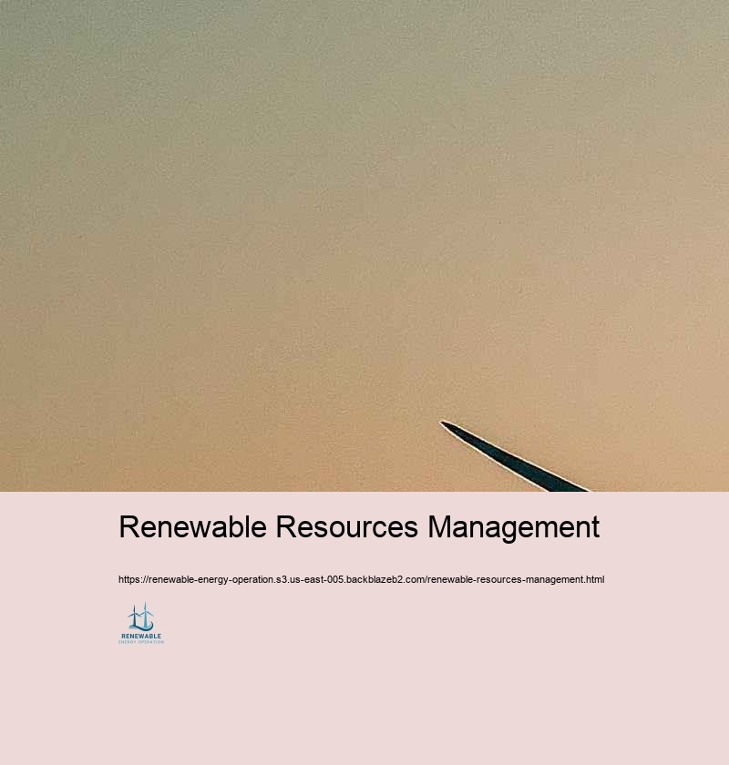 Ideal Practices in Taking care of Renewable Resource Workflow