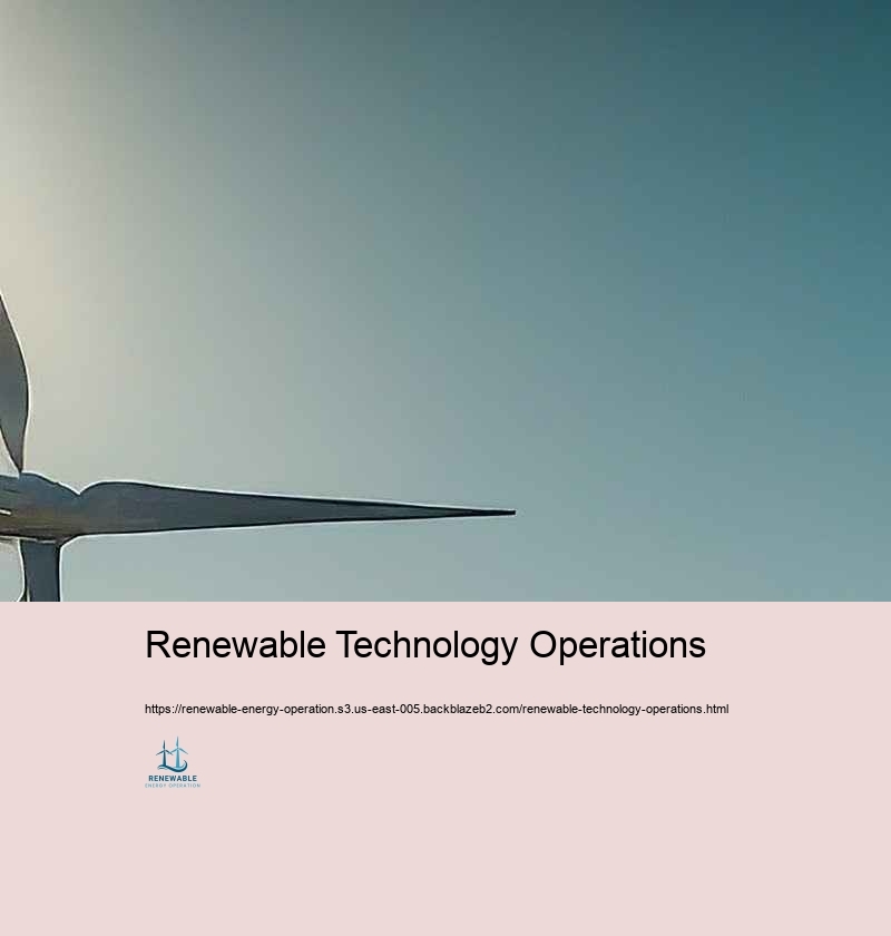 Problems and Solutions in Renewable Resource Operation